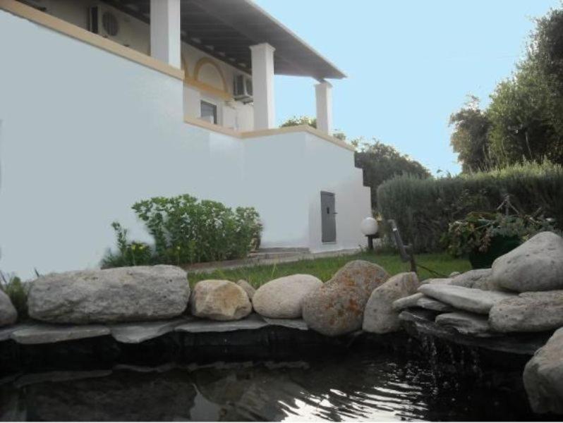 Apartment Level