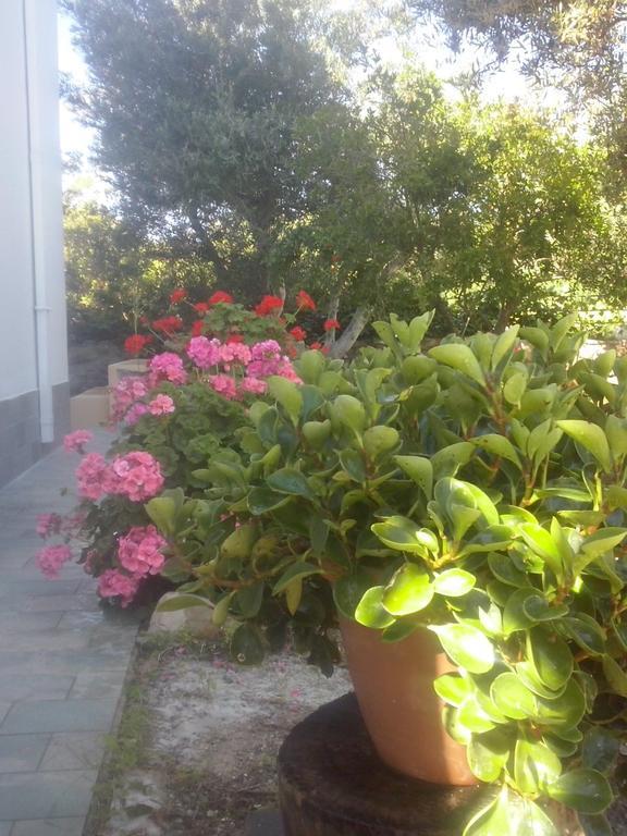 Apartment Level Kefalos (Kos)